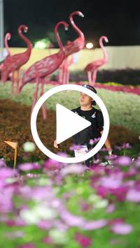 BIB:  <button type="button" onclick="openModal(27591132)" class="btn btn-primary btn-sm float-right" data-toggle="modal" data-target=".modal-high-quality">
                <i class="fa fa-download"></i> Download
                </button>